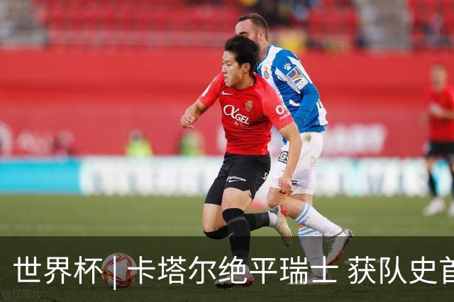 世界杯 | 卡塔尔绝平瑞士 获队史首个世界杯积分
