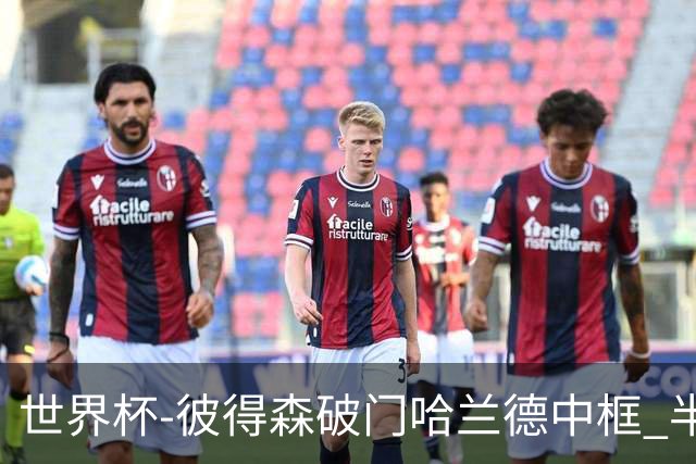 世界杯-彼得森破门哈兰德中框 半场挪威1-0塞内加尔