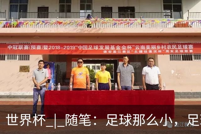 世界杯 | 随笔：足球那么小，足球这么大