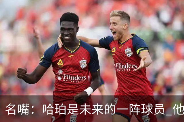 名嘴：哈珀是未来的一阵球员 他在总决赛的高压下依然游刃有余