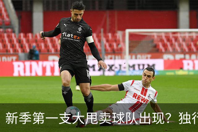 新季第一支大甩卖球队出现？独行侠换代克莱欧文都得走