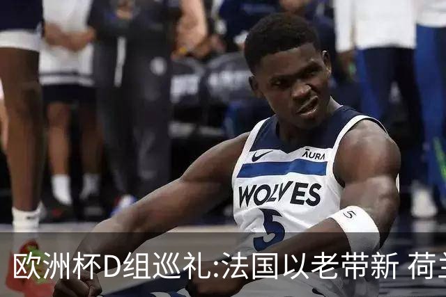 欧洲杯D组巡礼:法国以老带新 荷兰豪华后防