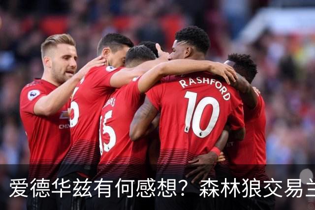 爱德华兹有何感想？森林狼交易兰德尔断臂求生 只为续约道苏姆？