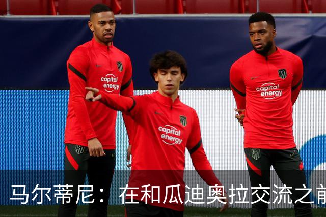 马尔蒂尼：在和瓜迪奥拉交流之前，我们也和安切洛蒂有过交流